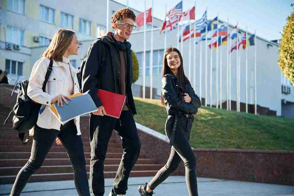 Business & Management in France